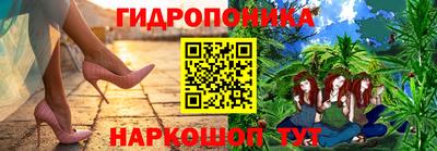 дмт Дубна