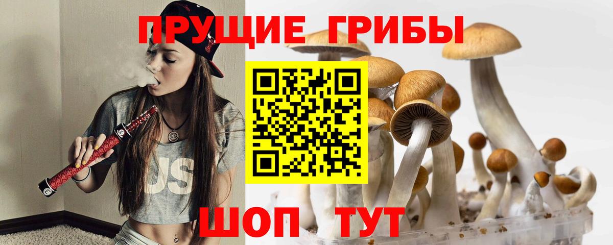 Галлюциногенные грибы MAGIC MUSHROOMS  Вход с VPN  Нефтекумск 